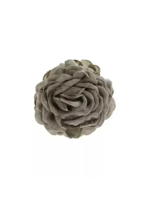 Ellie Floral Hair Clip in Neutral